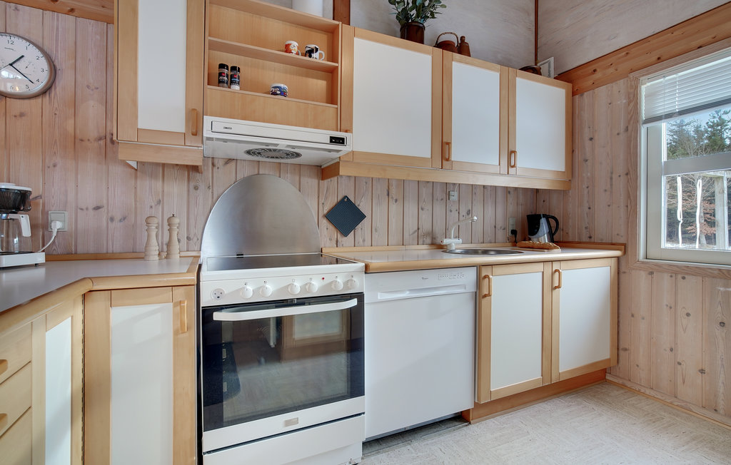 Ferienhaus - Rødhus Strand , Dänemark - A14017 5