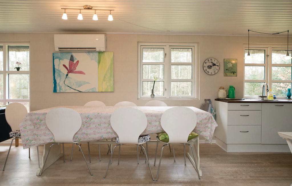 Ferienhaus - Rødhus , Dänemark - A14556 9