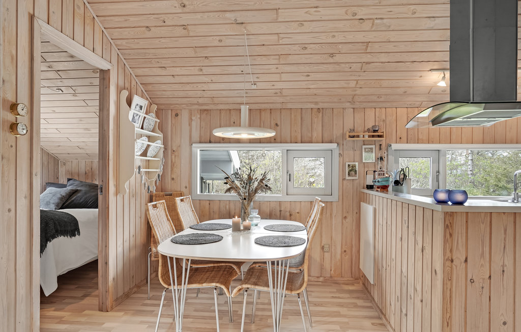 Ferienhaus - Rødhus Strand , Dänemark - A14021 5