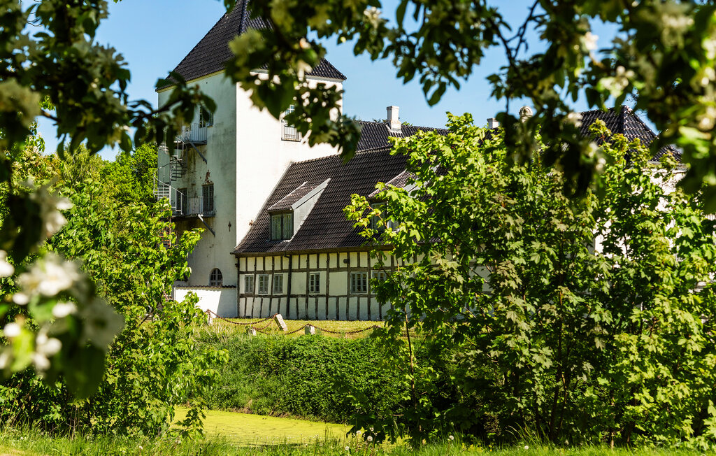 Ferienwohnung - Blokhus strand , Dänemark - A14766 13