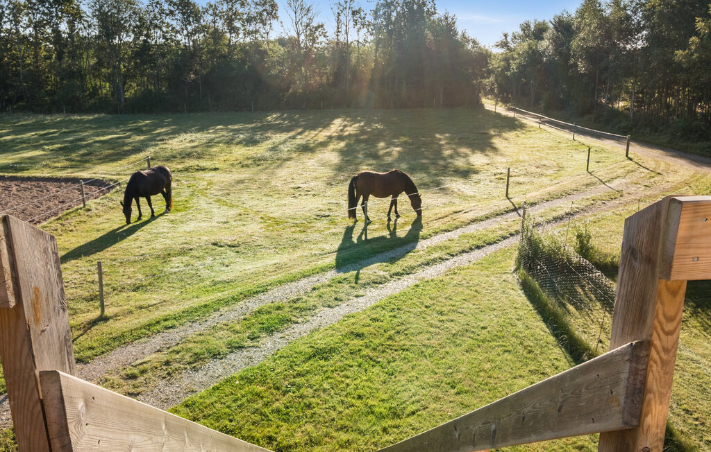Ferienwohnung - Pandrup , Dänemark - A14027 5
