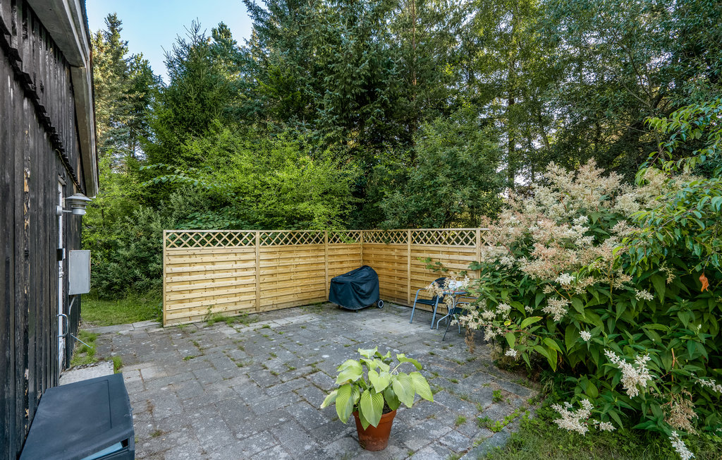 Feriehuse - Tranum , Danmark - A15013 17