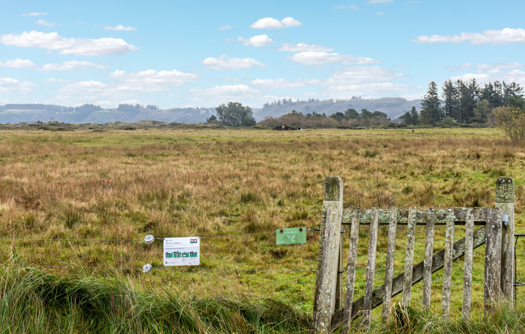 Ferienhaus - Slettestrand , Dänemark - A15103 7