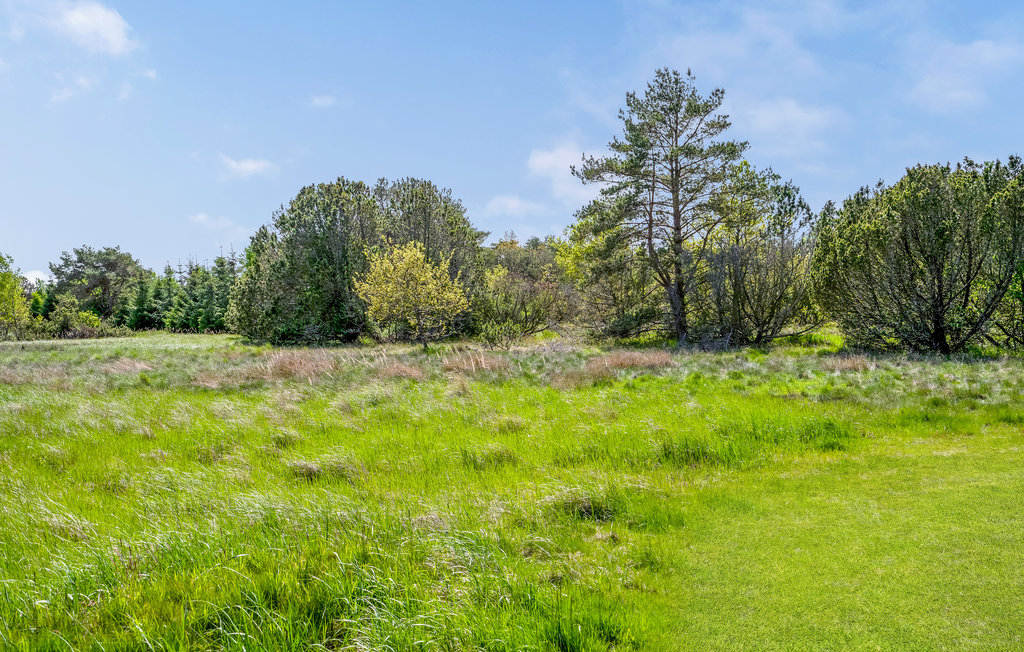 Ferienhaus - Bunken Strand , Dänemark - A16202 16