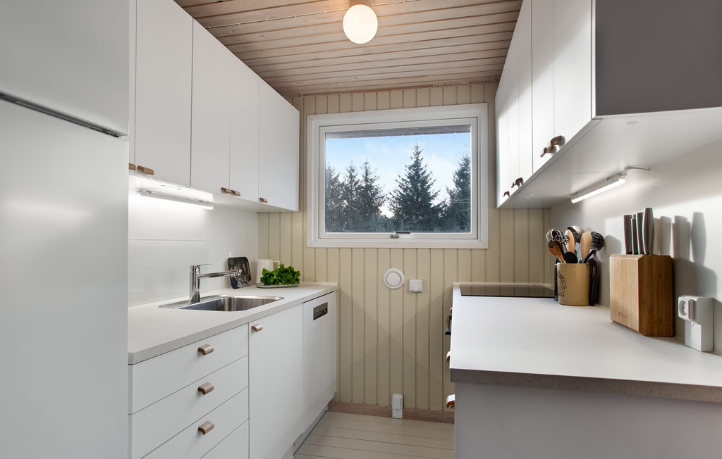 Feriehuse - Bunken Strand , Danmark - A16121 7