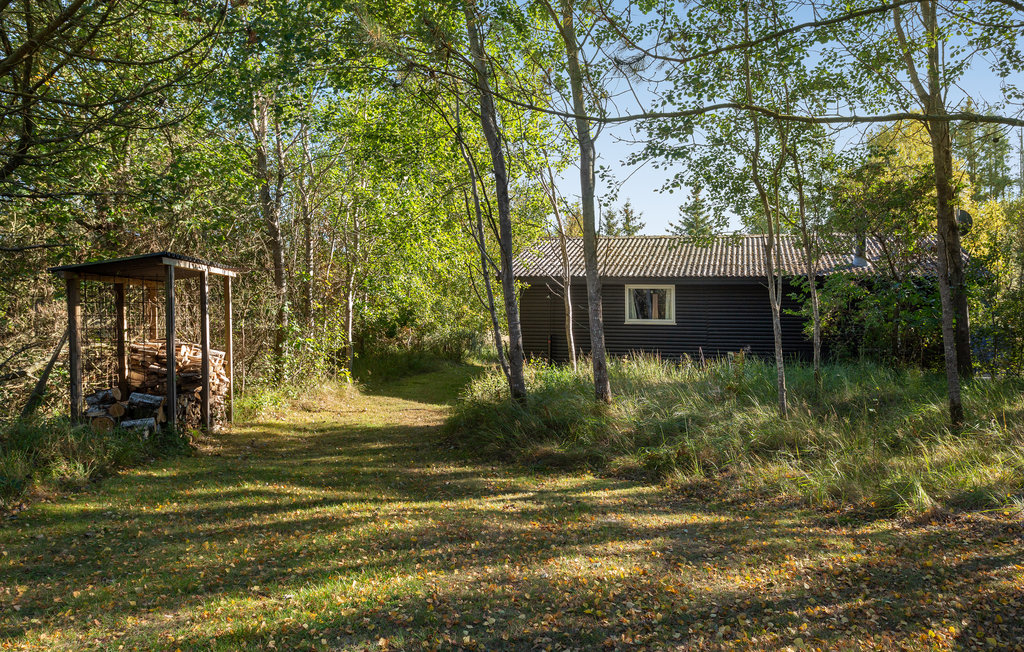Feriehuse - Bunken Strand , Danmark - A16121 11