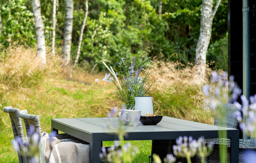 Ferienhaus - Bunken Strand , Dänemark - A16006 16