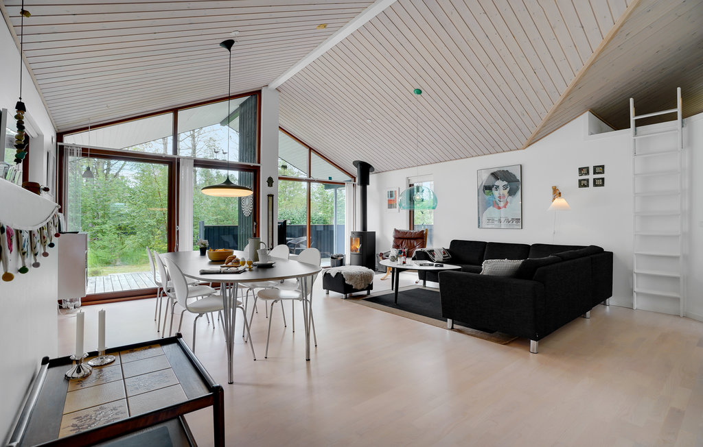 Ferienhaus - Skagen , Dänemark - A17108 5