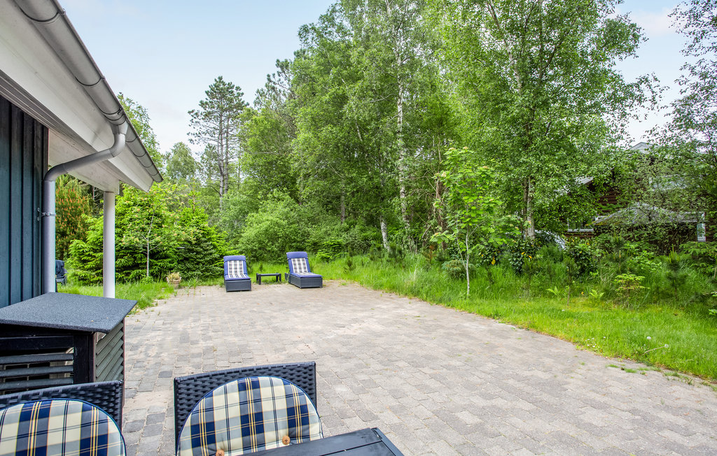 Ferienhaus - Lodskovvad/Ålbæk , Dänemark - A17691 17