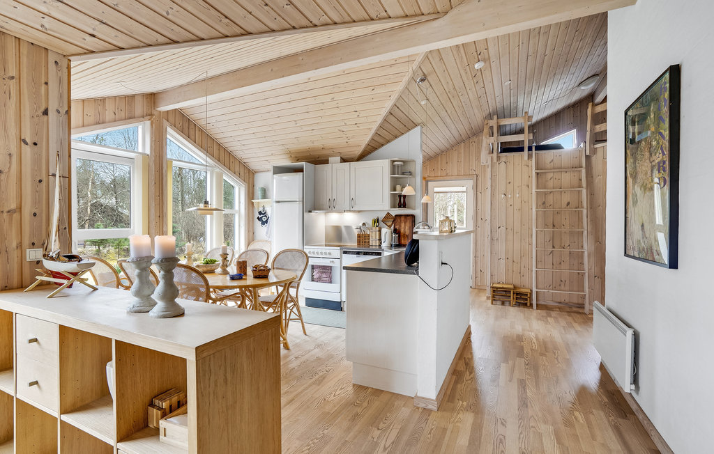 Ferienhaus - Lodskovvad/Ålbæk , Dänemark - A17691 5