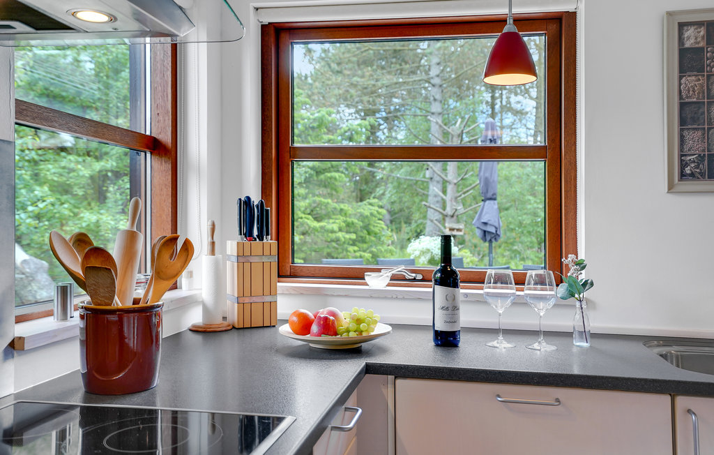 Ferienhaus - Skagen , Dänemark - A17108 18