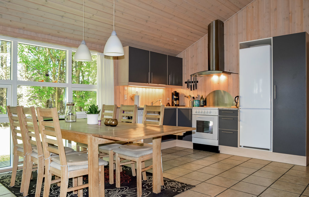 Ferienhaus - Lodskovvad/Ålbæk , Dänemark - A17979 3