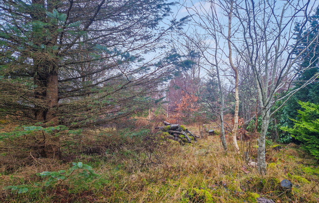 Feriehus - Ålbæk , Danmark - A17669 15