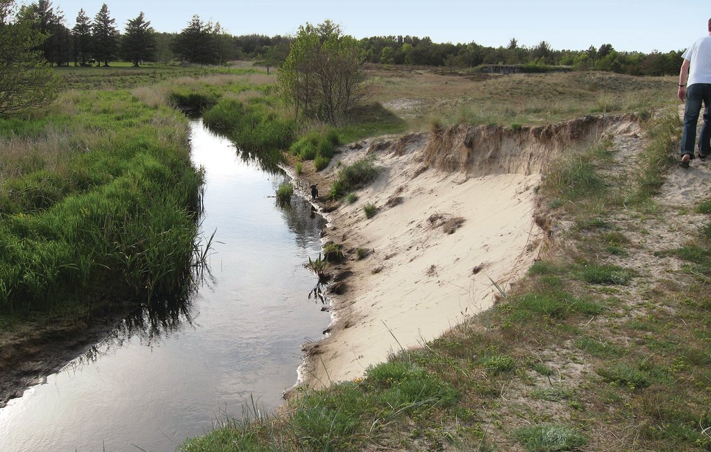Ferienhaus - Ålbæk , Dänemark - A18411 15