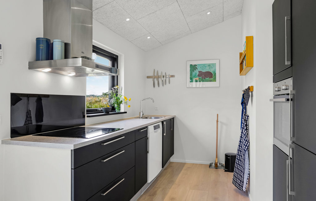 Ferienhaus - Ålbæk Strand , Dänemark - A18127 6