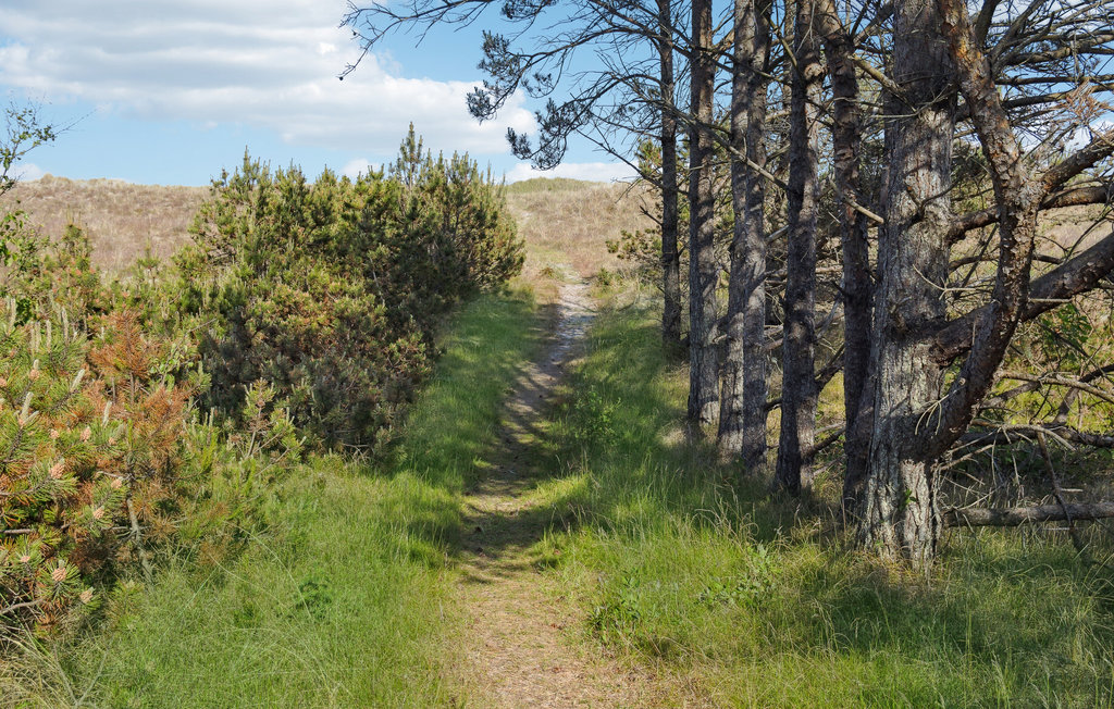 Ferienhaus - Ålbæk Strand , Dänemark - A18029 24