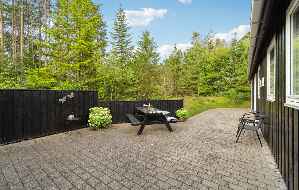 Feriehuse - Ålbæk Strand , Danmark - A18330 11