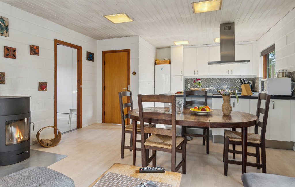 Ferienhaus - Ålbæk Strand , Dänemark - A18054 5