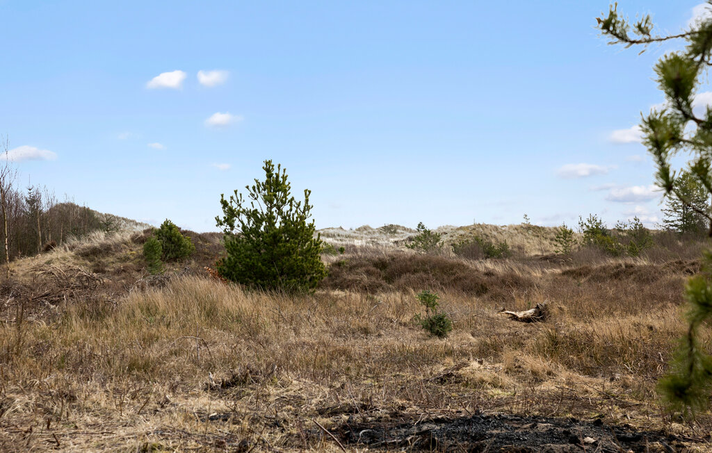 Ferienhaus - Ålbæk Strand , Dänemark - A18172 12