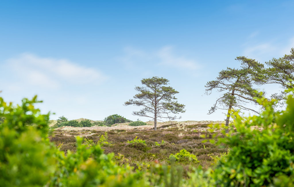 Feriehuse - Napstjært , Danmark - A19290 16