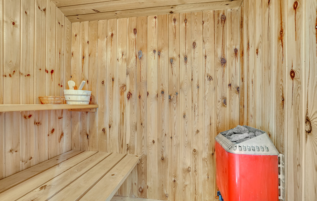 Ferienhaus - Napstjært , Dänemark - A19241 25