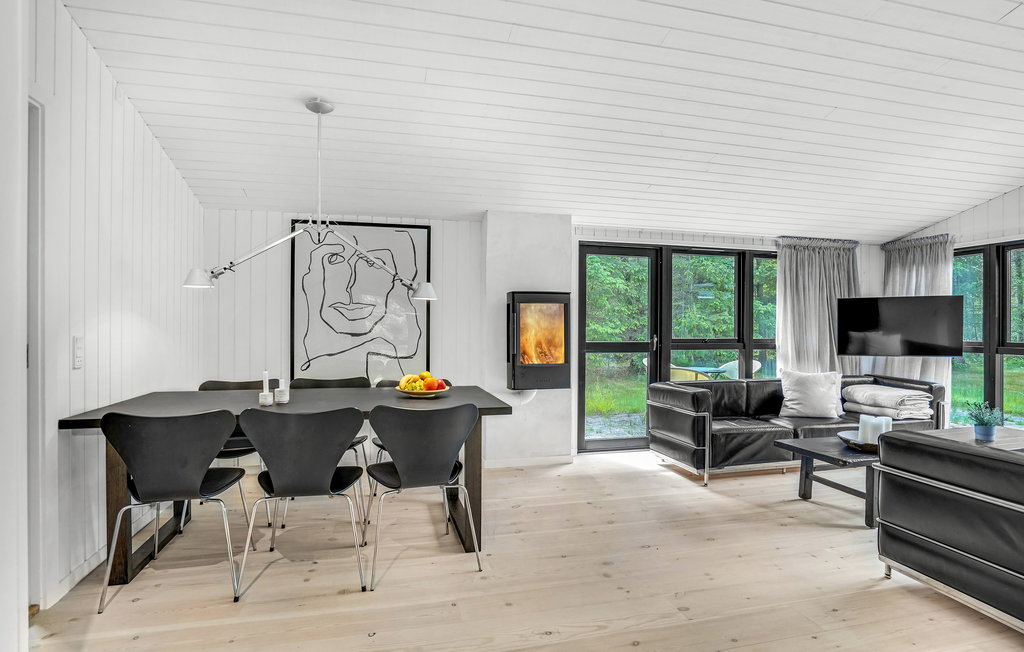 Ferienhaus - Napstjært , Dänemark - A19241 5