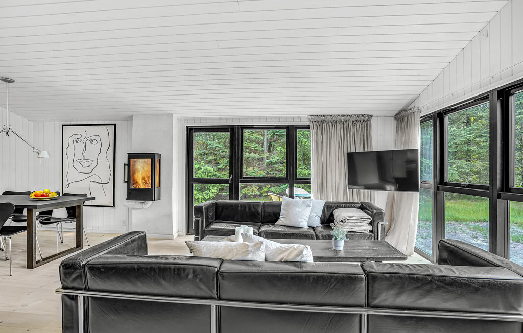 Ferienhaus - Napstjært , Dänemark - A19241 4