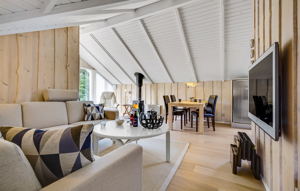 Ferienhaus - Napstjært , Dänemark - A19151 4