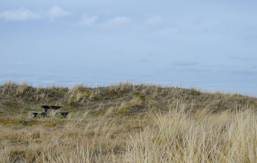 Feriehuse - Napstjært , Danmark - A19290 24