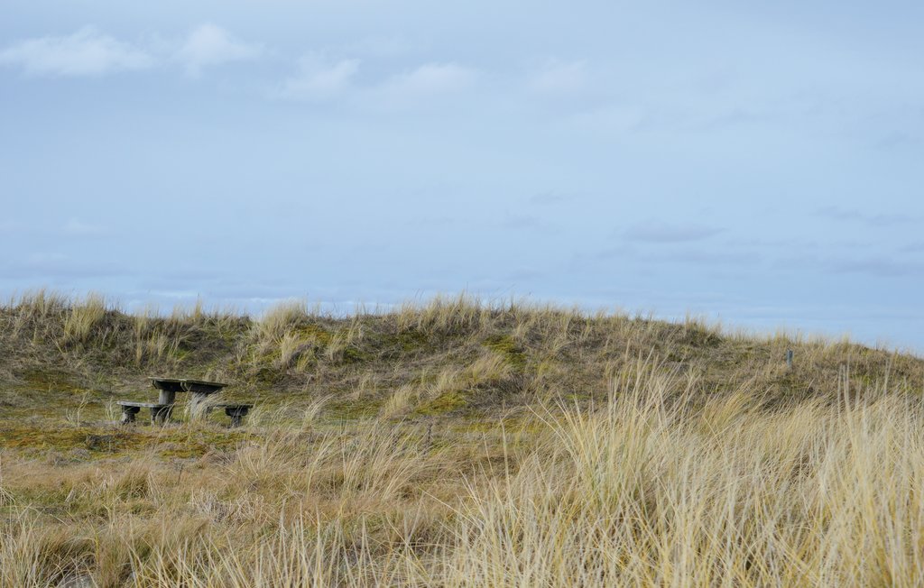 Ferienhaus - Napstjært , Dänemark - A19241 28