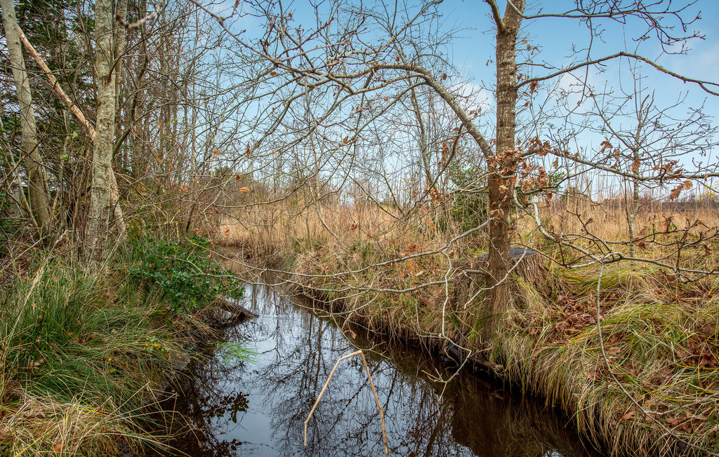 Feriehuse - Jerup Strand , Danmark - A19016 14