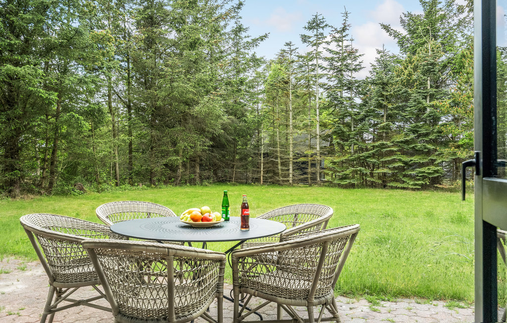 Ferienhaus - Napstjært , Dänemark - A19241 14