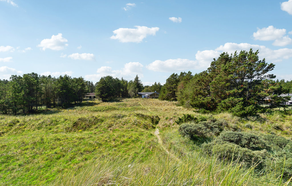 Feriehus - Napstjert Strand , Danmark - A19127 14