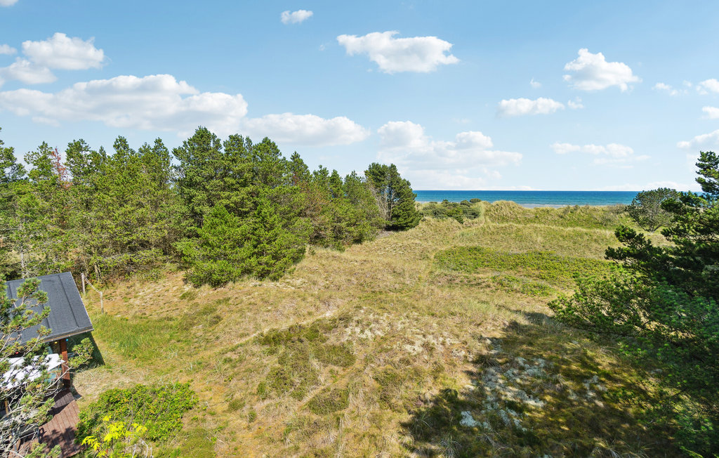 Feriehus - Napstjert Strand , Danmark - A19127 15
