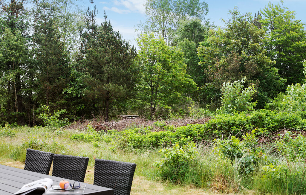 Feriehuse - Jerup Strand , Danmark - A19016 12