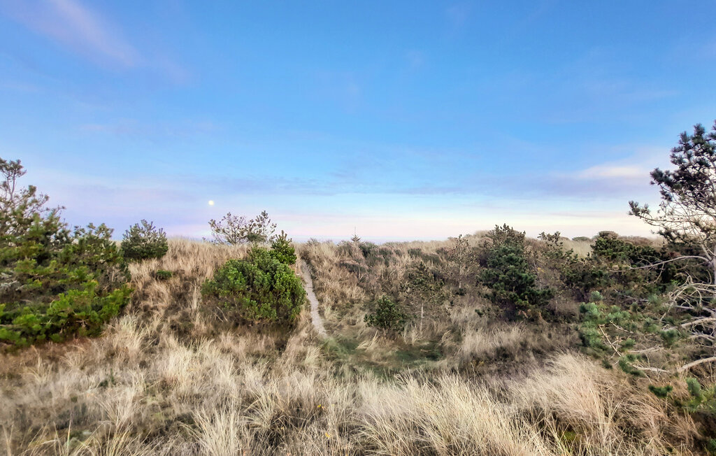 Feriehuse - Napstjert , Danmark - A19025 10