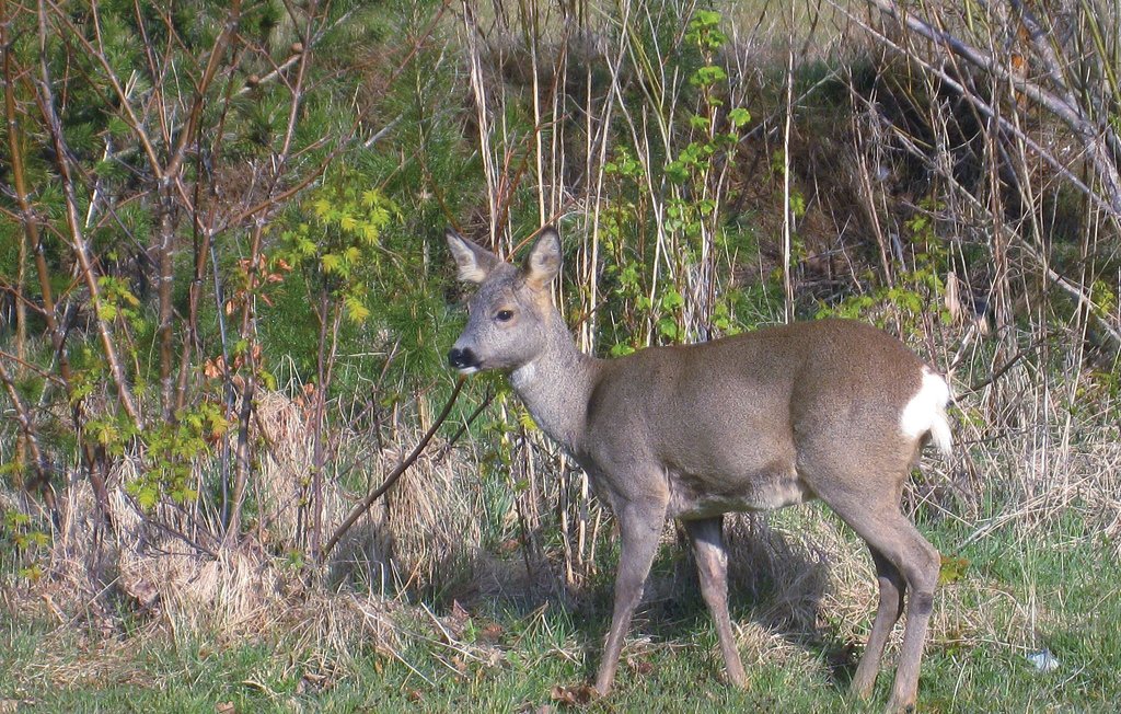 Ferienhaus - Bratten Strand , Dänemark - A20707 27