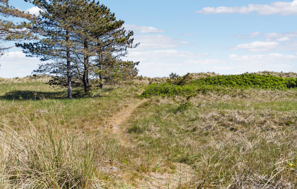 Ferienhaus - Bratten Strand , Dänemark - A20969 28