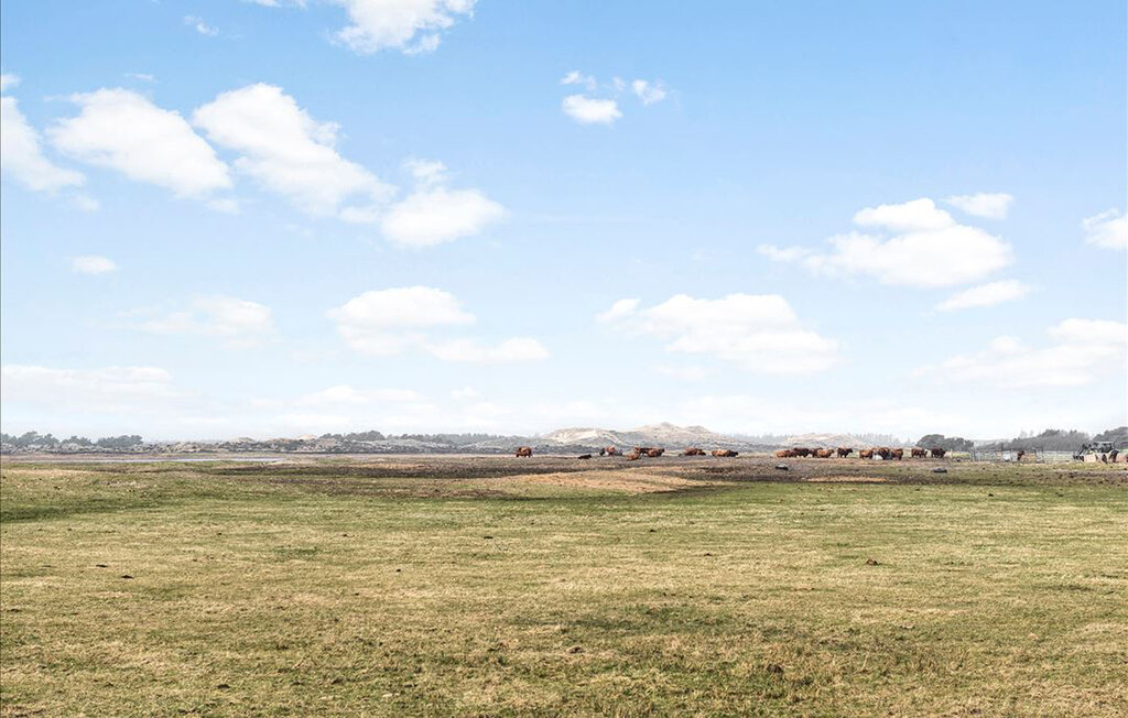 Feriehuse - Sønderho Strand , Danmark - A2001 14