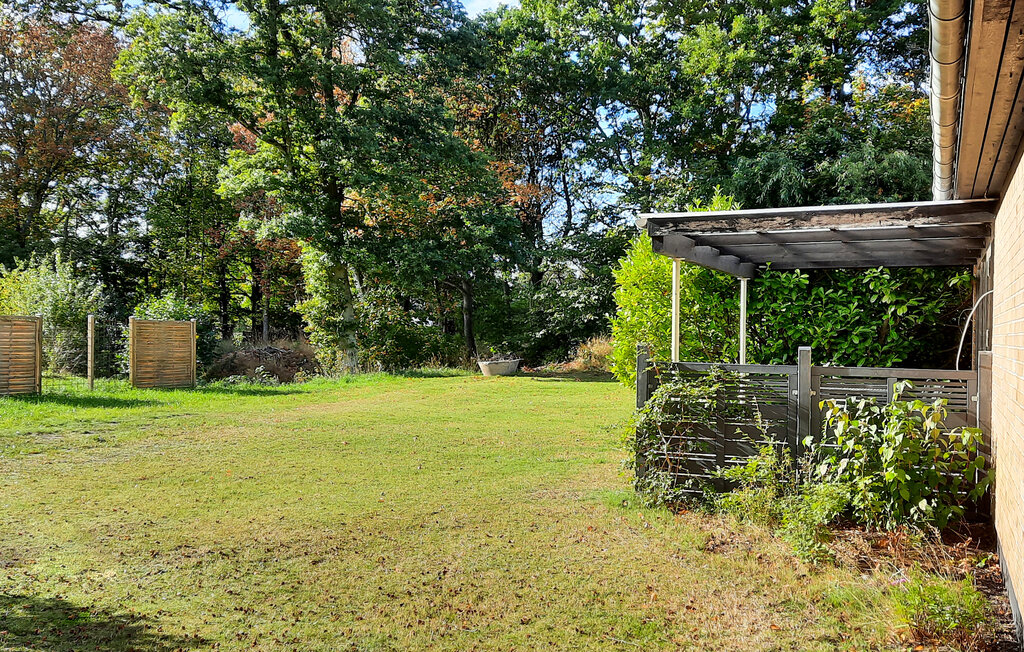 Ferienhaus - Læsø , Dänemark - A21055 14
