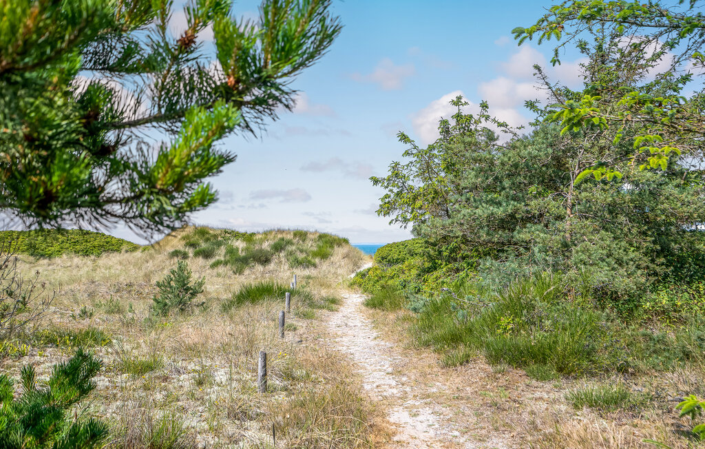 Ferienhaus - Læsø strand , Dänemark - A21005 14