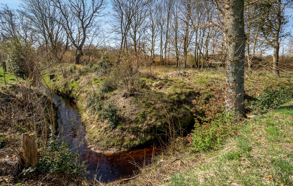 Ferienhaus - Læsø , Dänemark - A21055 13