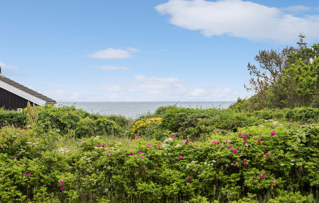 Ferienhaus - Frederikshavn , Dänemark - A25309 9