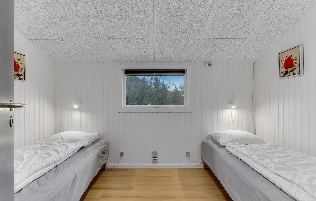 Ferienhaus - Lyngså , Dänemark - A26565 27