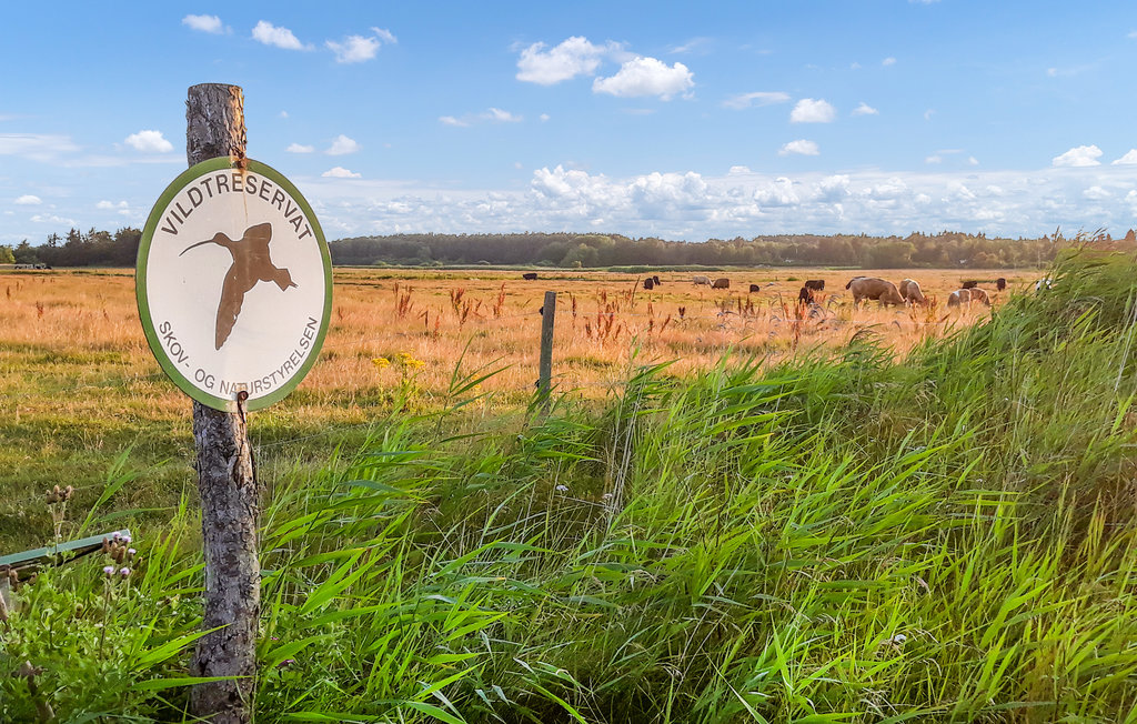 Ferienhaus - Lyngså , Dänemark - A26509 19