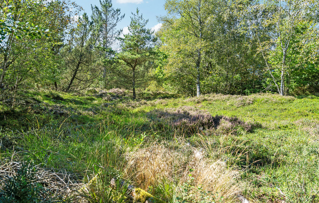 Ferienhaus - Lyngså , Dänemark - A26565 20