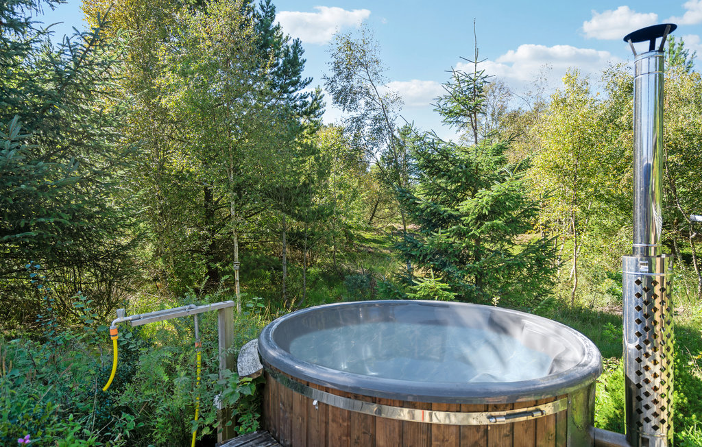 Ferienhaus - Lyngså , Dänemark - A26565 13