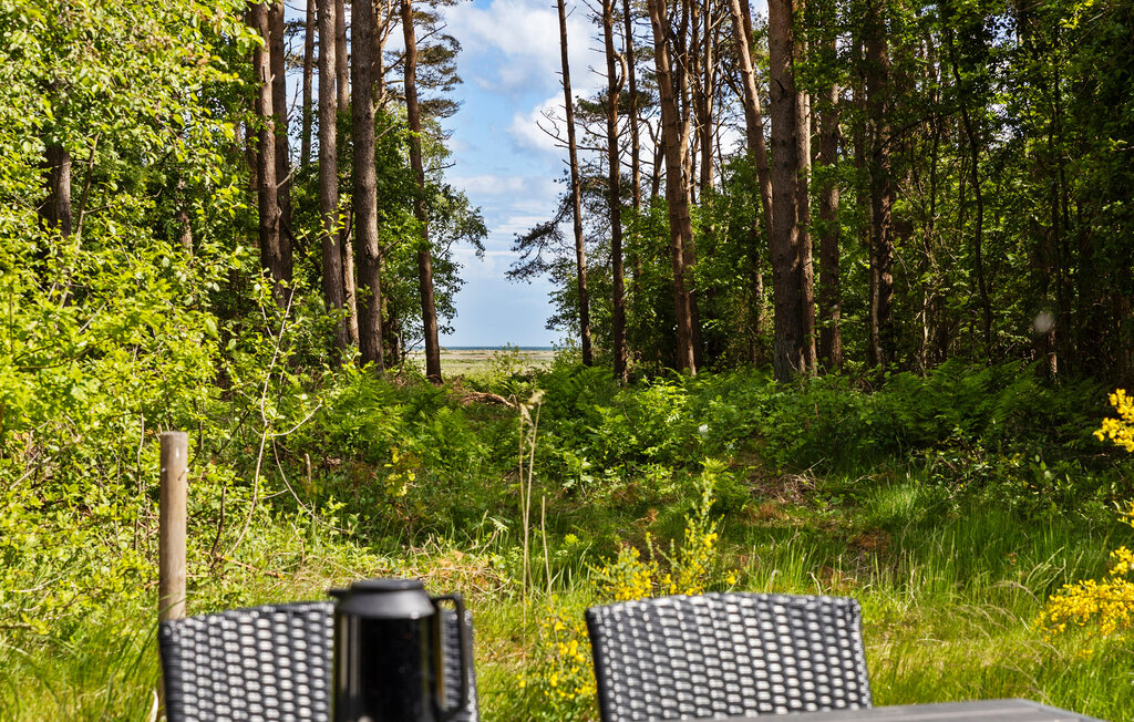 Feriehus - Lyngså , Danmark - A26364 15