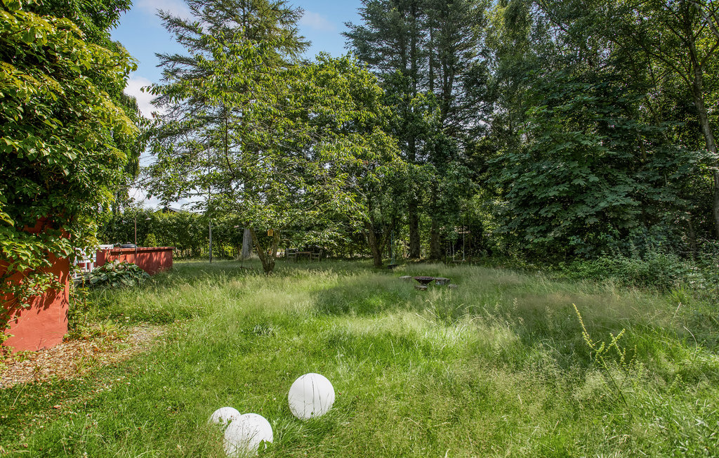 Ferienhaus - Hals , Dänemark - A30546 16