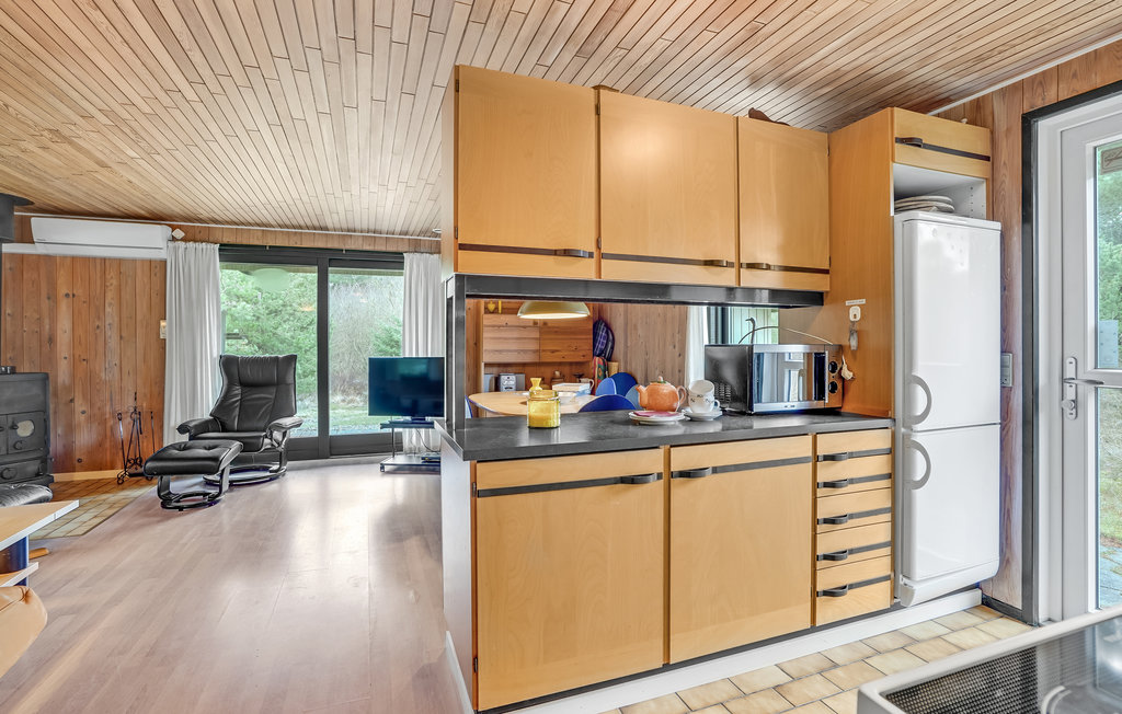 Semesterhus - Blåvand , Danmark - A3050 14